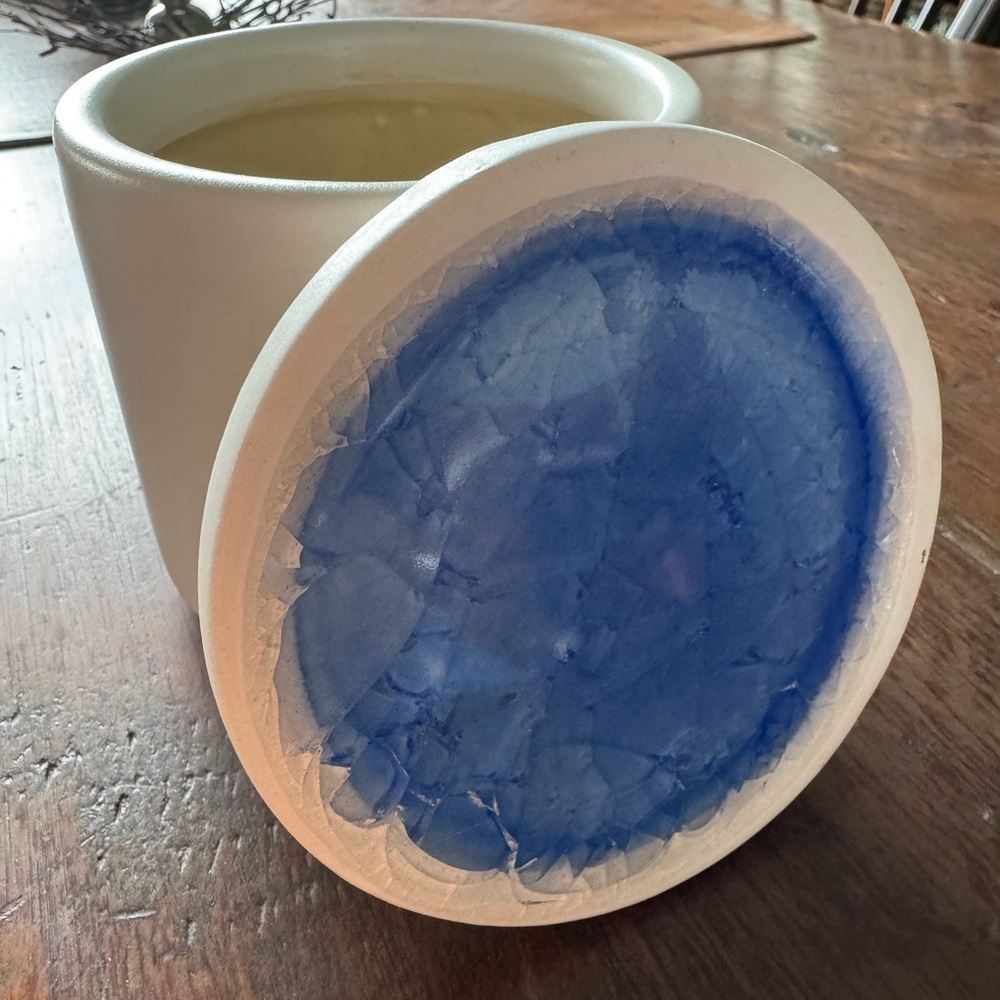 West Elm Lidded Pottery Pot